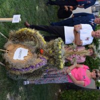 Zobacz w powiększeniu: Dożynki Gminne Baranów 2025 (20)